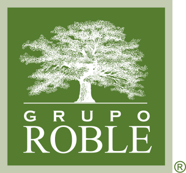 GRUPO ROBLE - MULTIPLAZA S.A DE C.V - SERVICIOS DE PROTECCION S.A DE C.V - ADMINISTRADORA DE SERVICIOS